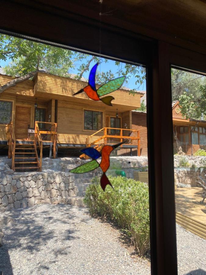 Refugio Del Maipo Lodge San José de Maipo المظهر الخارجي الصورة