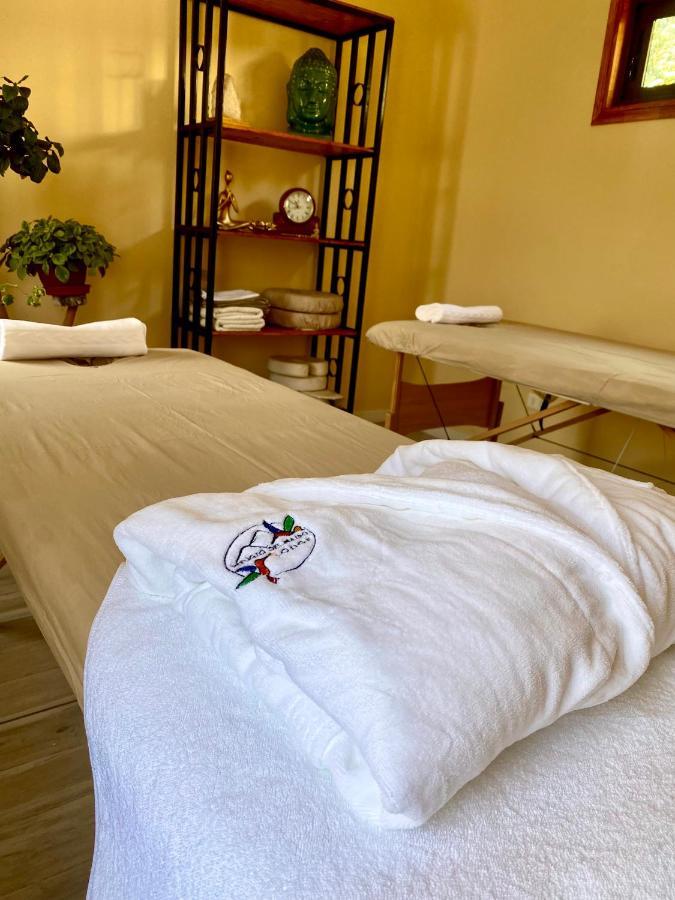 Refugio Del Maipo Lodge San José de Maipo المظهر الخارجي الصورة
